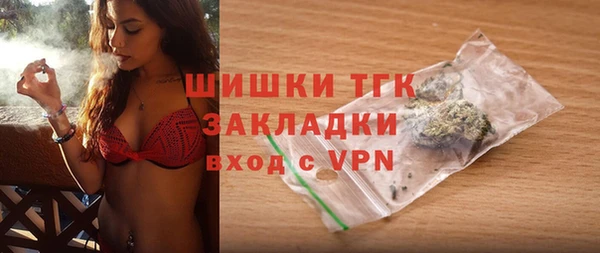 mdpv Бородино