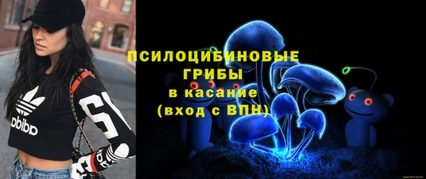 mdpv Бородино