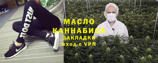 mdpv Бородино