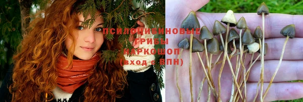 mdpv Бугульма