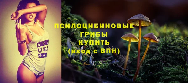 mdpv Бородино