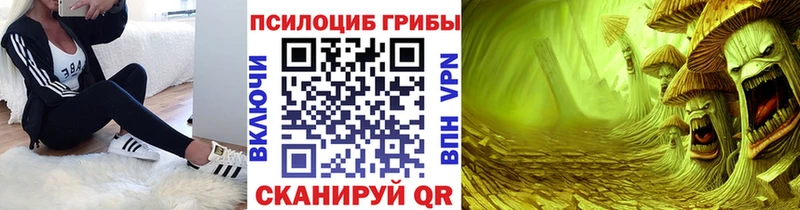 Псилоцибиновые грибы прущие грибы  Волжский 